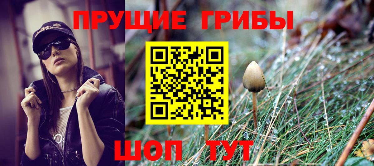 Галлюциногенные грибы Magic Shrooms Черняховск